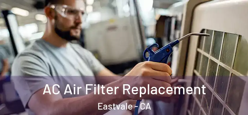 AC Air Filter Replacement Eastvale - CA
