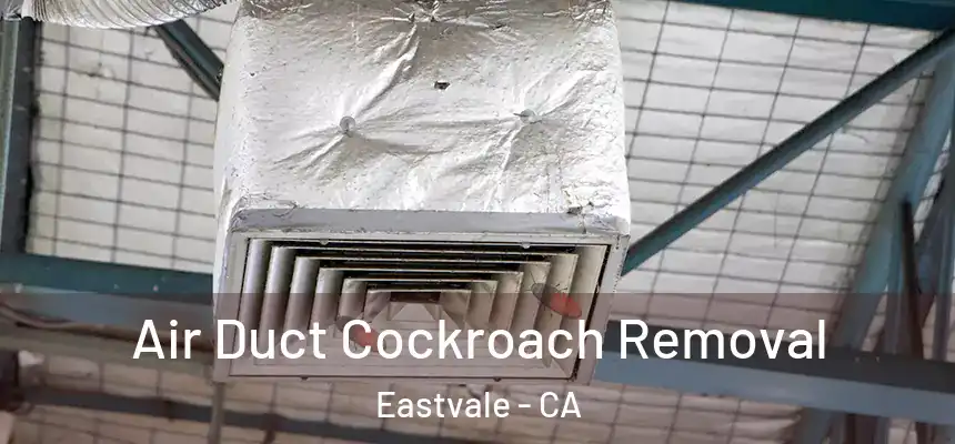 Air Duct Cockroach Removal Eastvale - CA