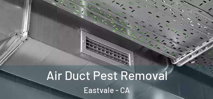  Air Duct Pest Removal Eastvale - CA