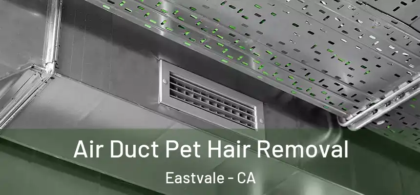 Air Duct Pet Hair Removal Eastvale - CA