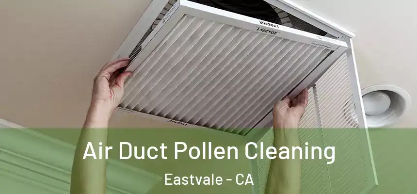  Air Duct Pollen Cleaning Eastvale - CA