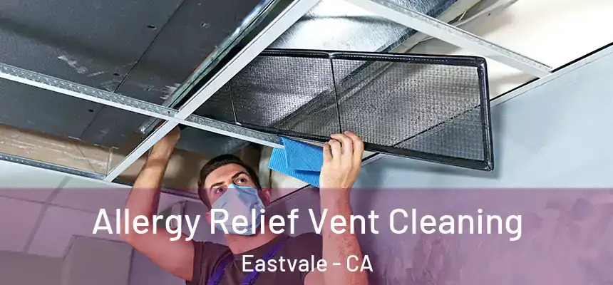 Allergy Relief Vent Cleaning Eastvale - CA