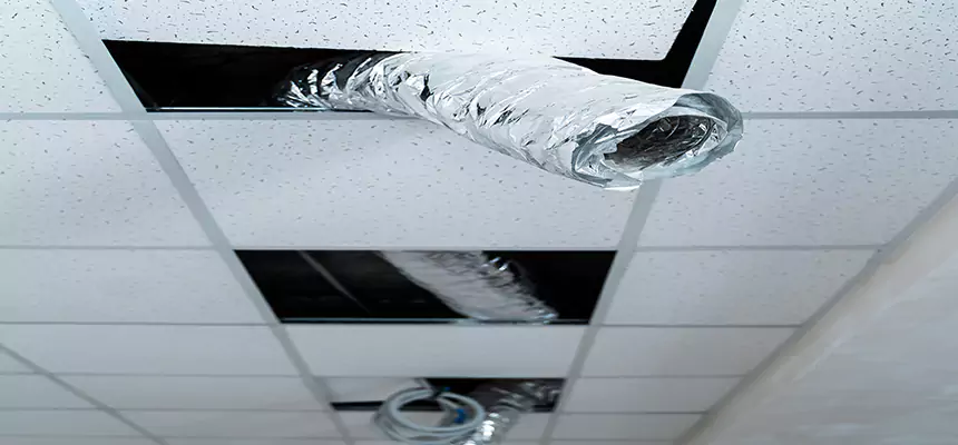 Our Air Duct Pet Hair Removal Services in Eastvale, CA