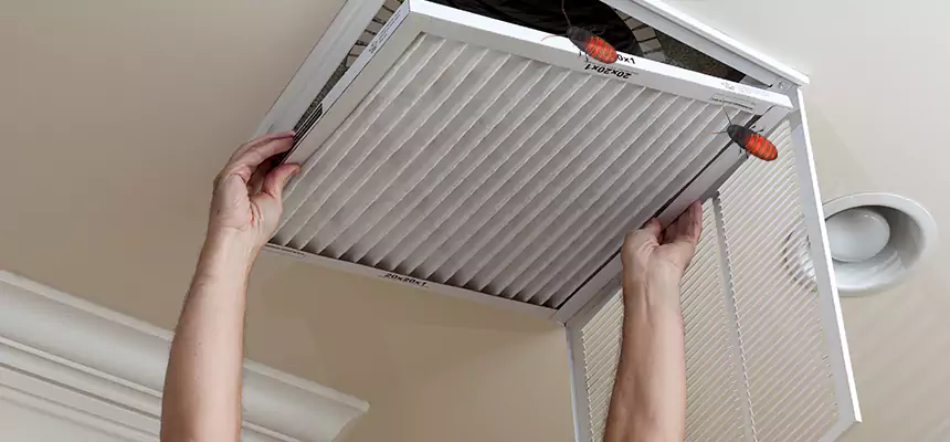 Our Insect Removal from Air Ducts Services in Eastvale, CA