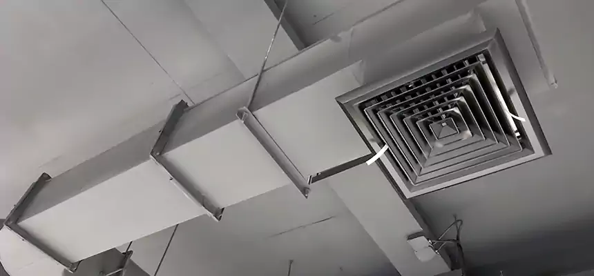 Our Pest Removal From Ducts Services in Eastvale, CA