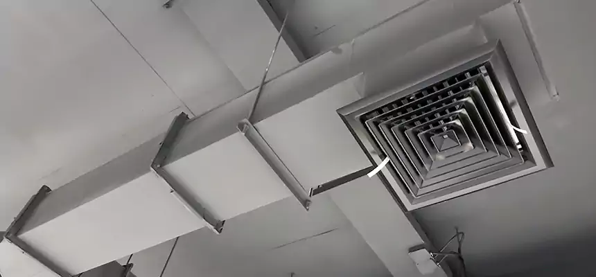 Our Rodent Droppings In Vents Services in Eastvale, CA