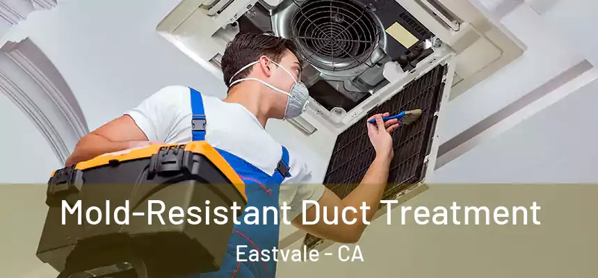Mold-Resistant Duct Treatment Eastvale - CA