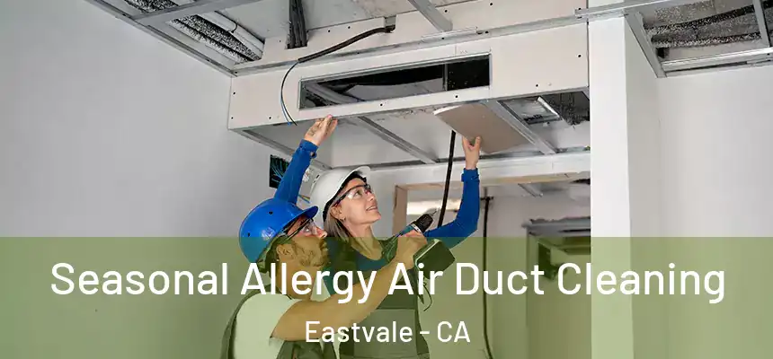 Seasonal Allergy Air Duct Cleaning Eastvale - CA