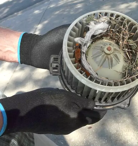 About Air Duct Rat Removal in Eastvale, CA