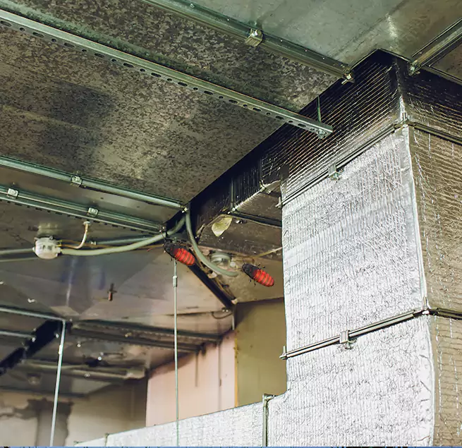 Why Homeowners & Businesses Trust Us in Eastvale, CA?