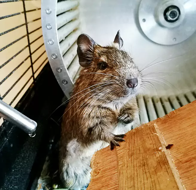 Why Homeowners & Businesses Trust Us Eastvale, CA